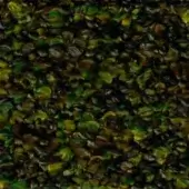 Fragmented texture displaying browns, blacks, green, and yellow tones in a random, organic composition with curled, pliable elements.